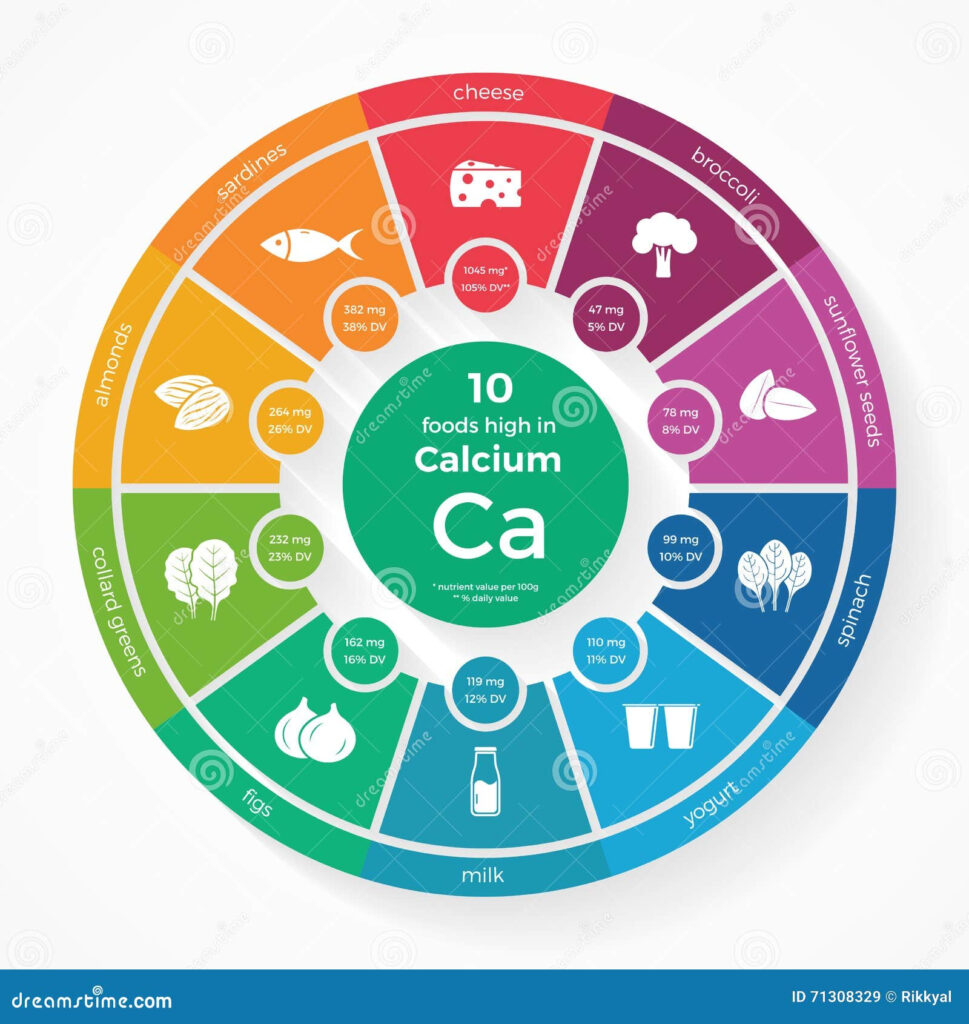 10 Foods High In Calcium Nutrition Infographics Stock Vector 