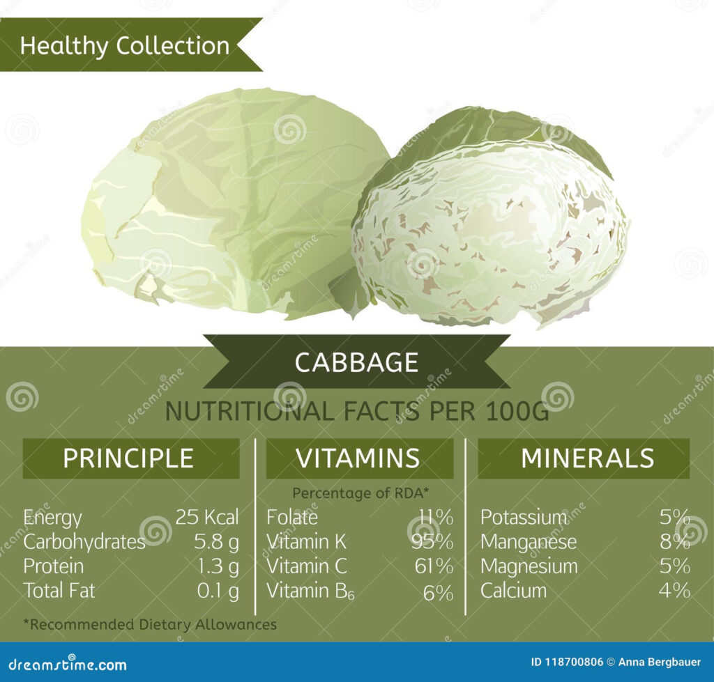 Cabbage Healthy Collection Stock Vector Illustration Of Diet 118700806