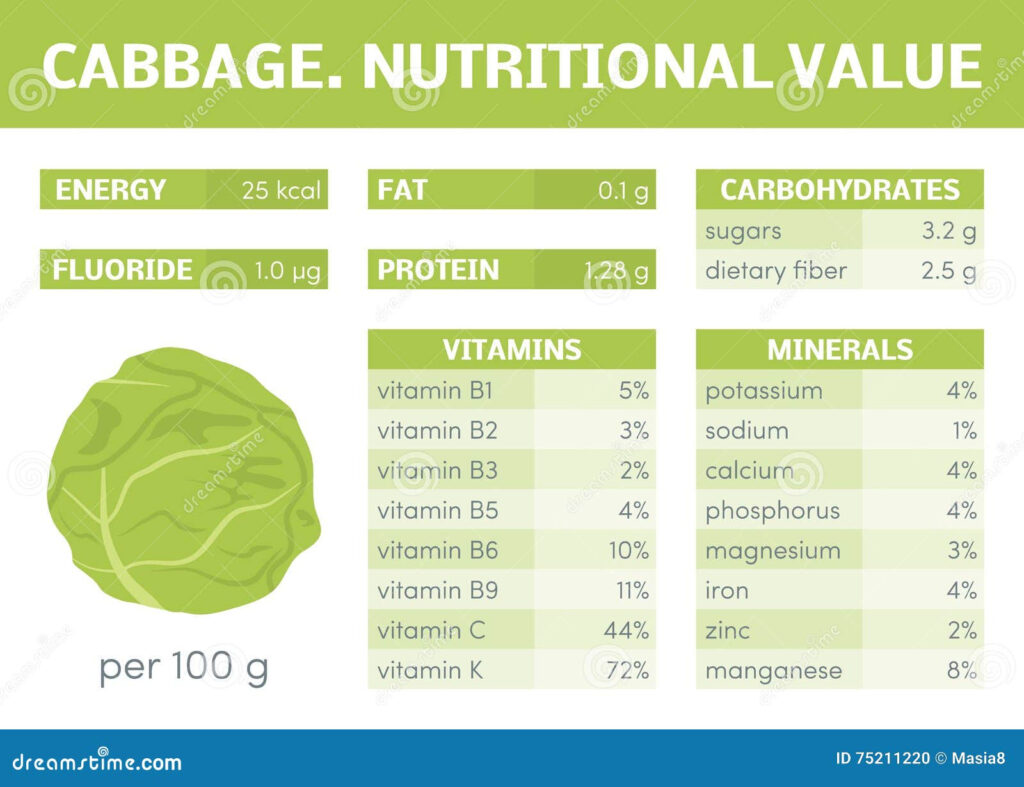 Cabbage Infographic Stock Illustration Illustration Of Graphic 75211220