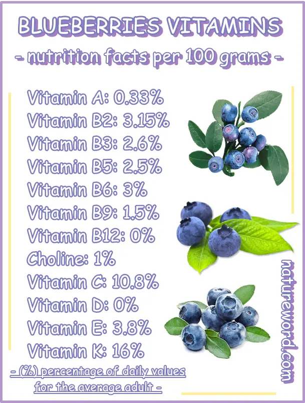 Calories In 15 Blueberries And Nutrition Facts 44 OFF