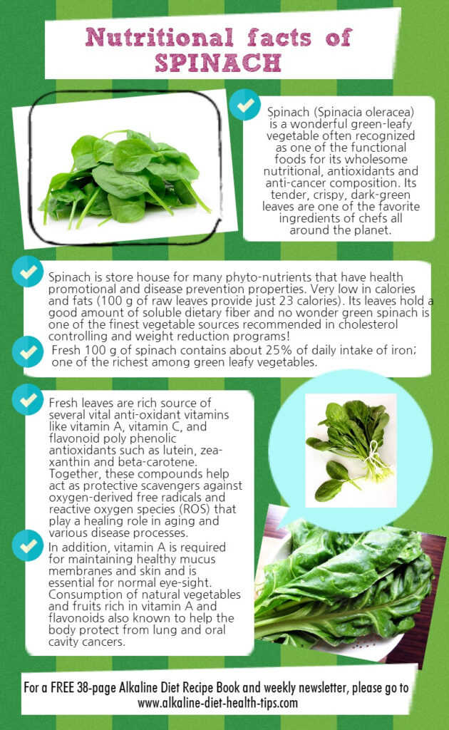 Nutritional Facts Of Spinach