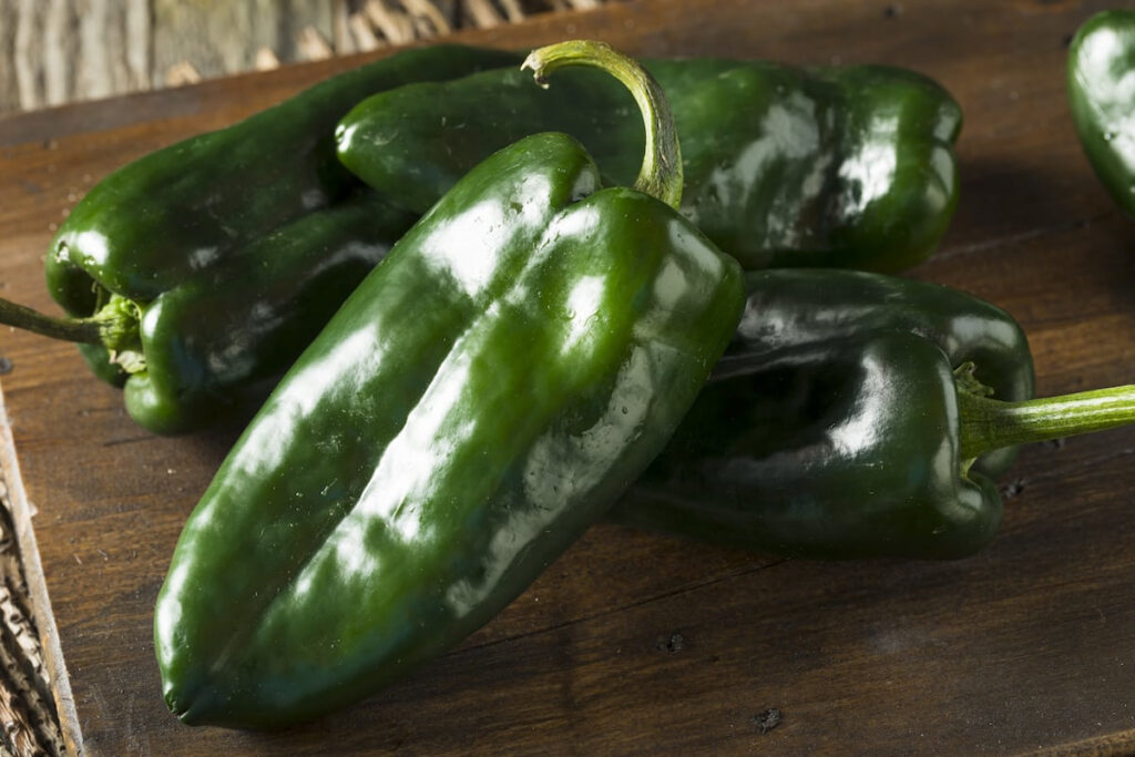 Poblano Pepper Nutrition How Healthy Are They 