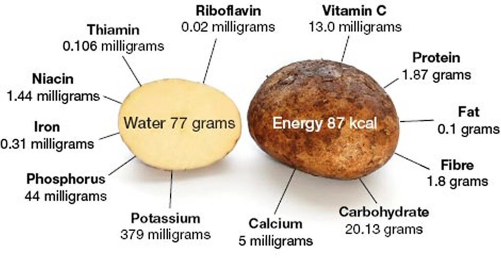 Potato Nutrition Facts Calories Fiber Fat Carbs And Protein