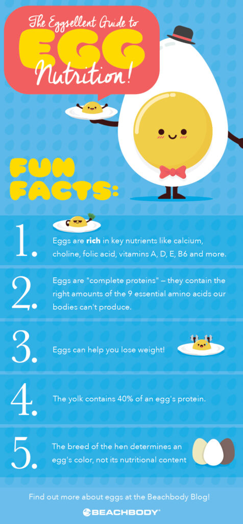 The Ultimate Guide To Egg Nutrition BODi