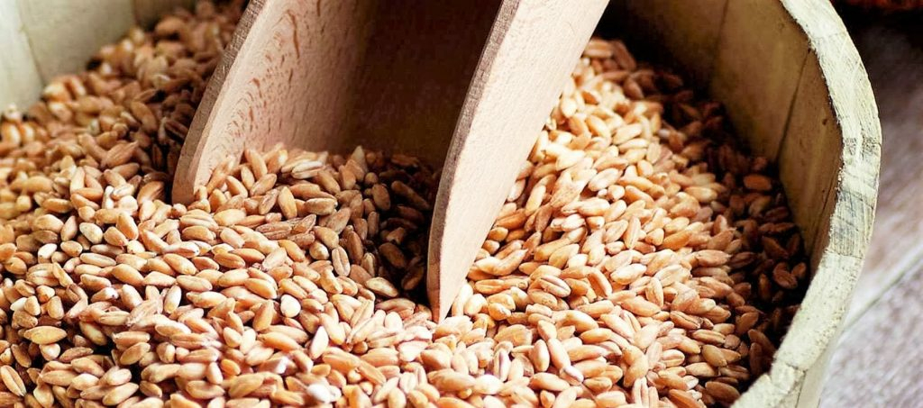 What Is Farro Nutrition Facts How To Cook Farro Wheat